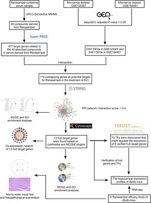 Exploring the role of Tibetan medicinal formula Qishiwei Zhenzhu Pills (Ranasampel) against diabetes mellitus-linked cognitive impairment of db/db mice through serum pharmacochemistry and microarray data analysis